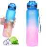Devico Pro Cycler Sports 32oz Water Bottle BPA Free Flip Lid Frosted Tritan Plastic